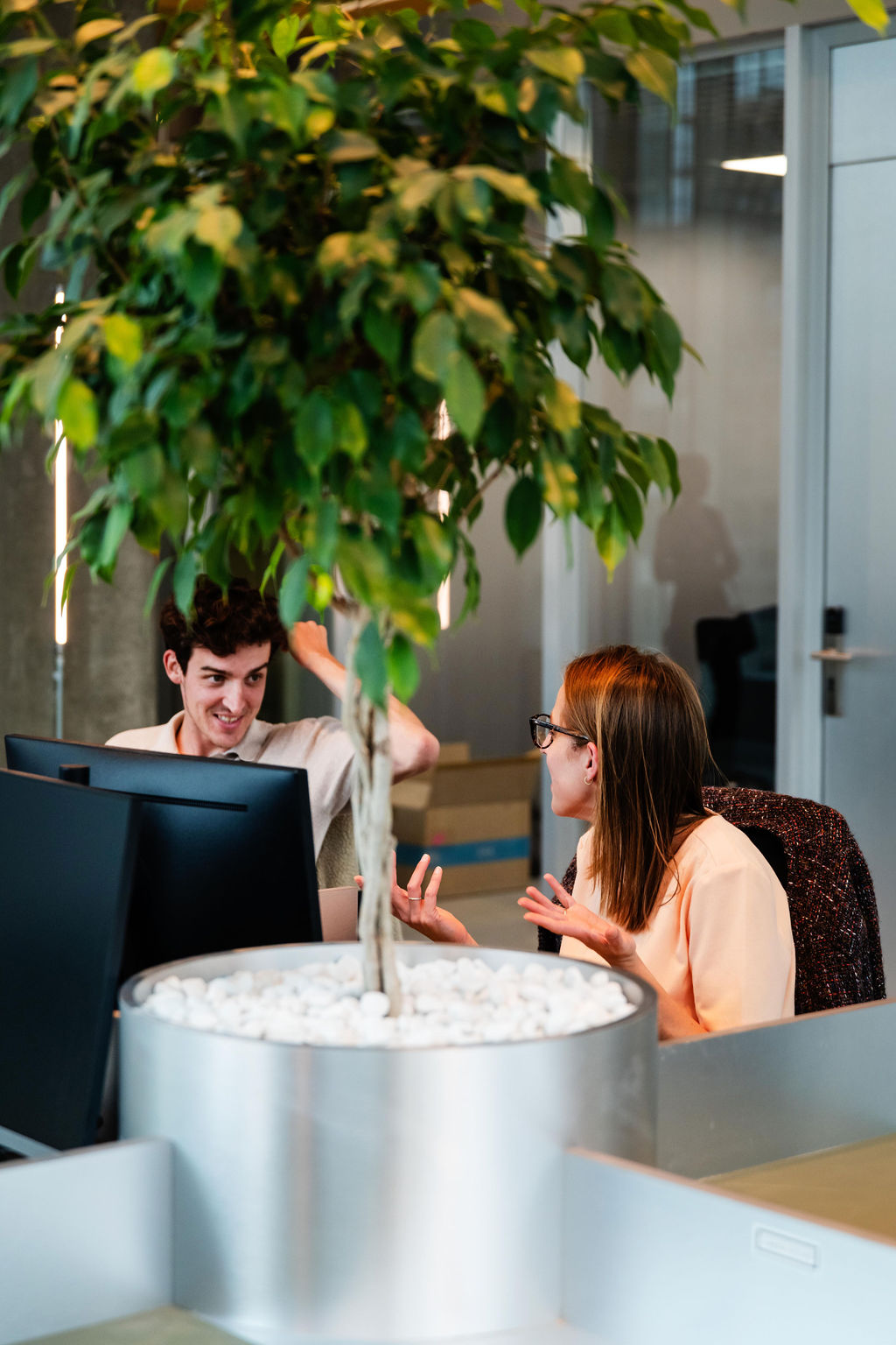 Two colleagues talking beside a large indoor tree